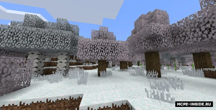 Fasllar — Minecraft tekstura, rasm 1