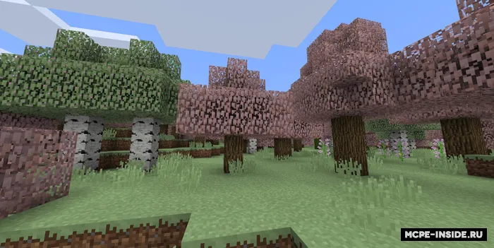 Fasllar — Minecraft tekstura, rasm 2