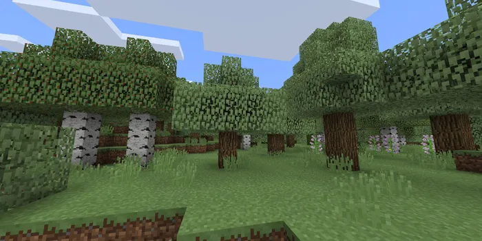 Fasllar — Minecraft tekstura, rasm 3