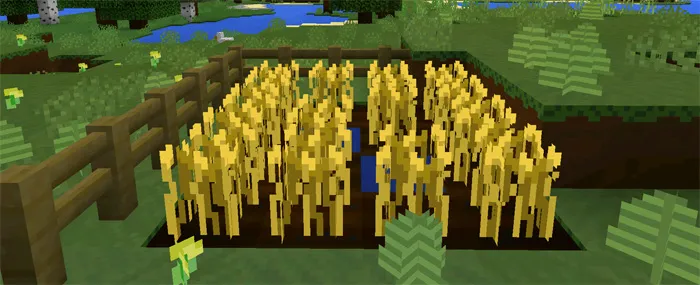 ClagCraft — Minecraft tekstura, rasm 3