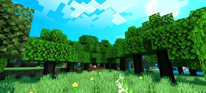 Newb X Ale — Minecraft shader, rasm 3