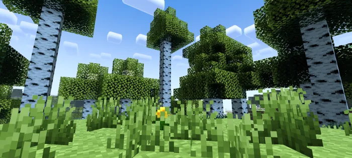 Newb Complementary — Minecraft shader, rasm 2