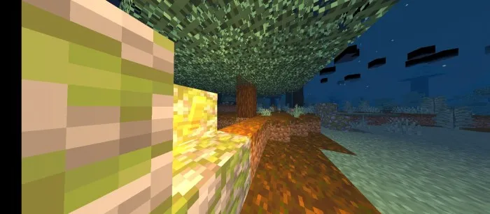 PSPE — Minecraft shader, rasm 2
