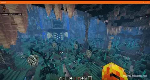 Qayta tug'ilgan shaderlar