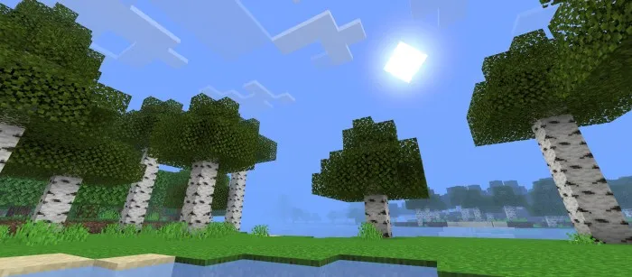 Oddiy grafika — Minecraft shader, rasm 2