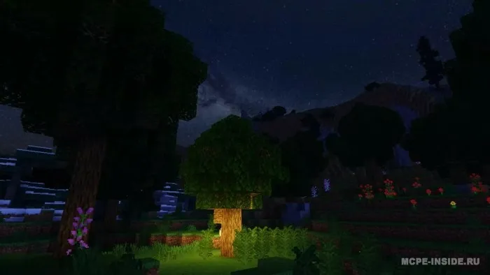 Zebra X Zero — Minecraft shader, rasm 1