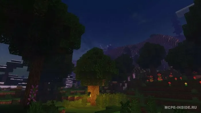Zebra X Zero — Minecraft shader, rasm 2
