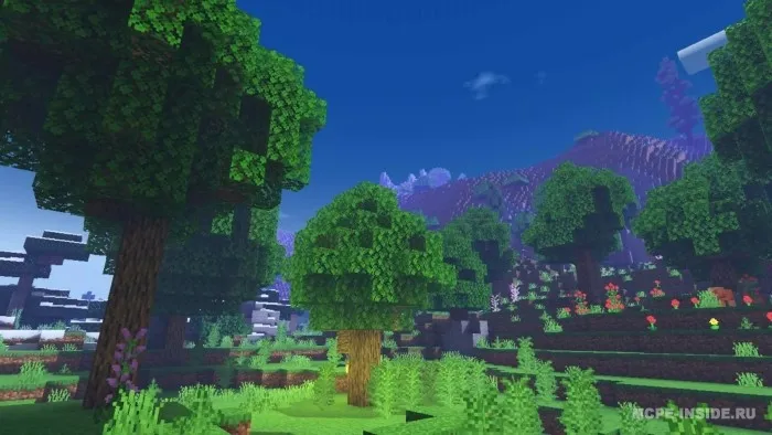 Zebra X Zero — Minecraft shader, rasm 3