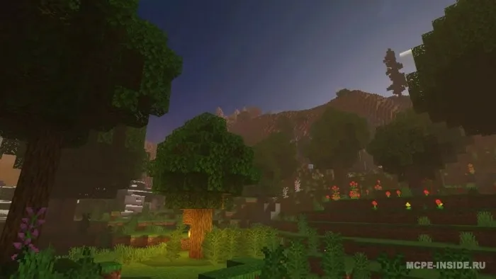 Zebra X Zero — Minecraft shader, rasm 4