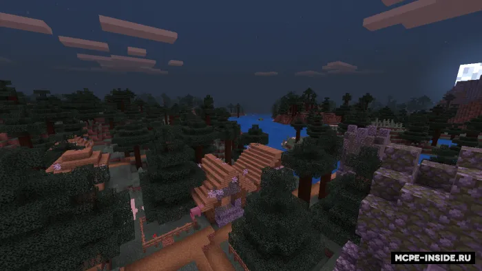 Polrdan baza sheyderi — Minecraft shader, rasm 3