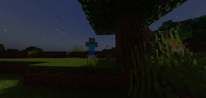 Eng yaxshi sheyder — Minecraft shader, rasm 4