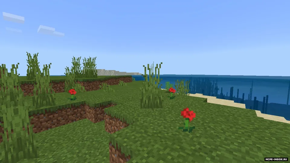 O'simliklar va suv animatsiyasi — Minecraft shader, rasm 1