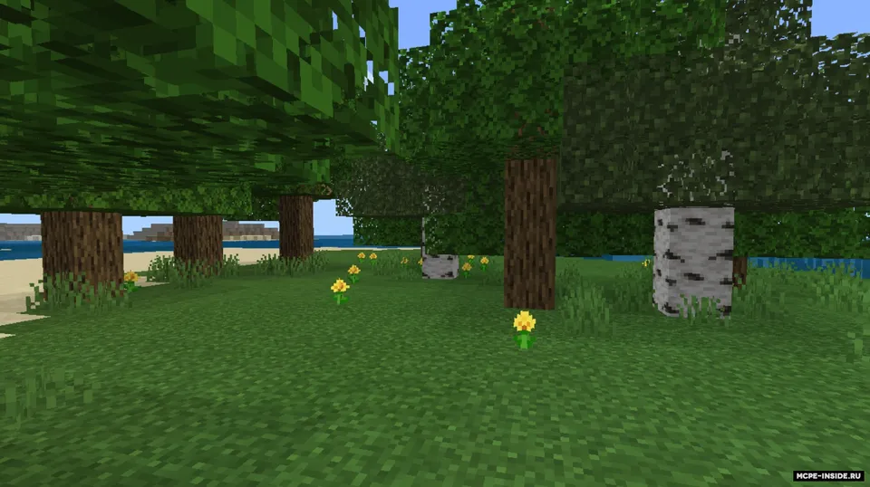 O'simliklar va suv animatsiyasi — Minecraft shader, rasm 2