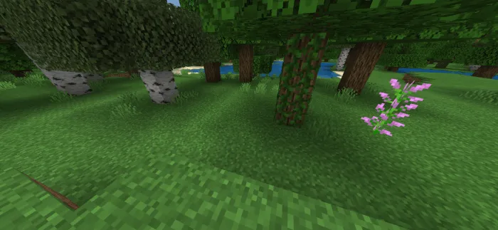 Vanil sheyder — Minecraft shader, rasm 3