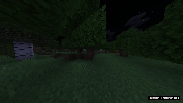 Barglar va o'tlar animatsiyasi — Minecraft shader, rasm 2