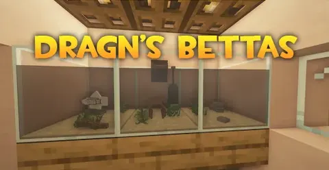 DragN’s Bettas & Aquatics!