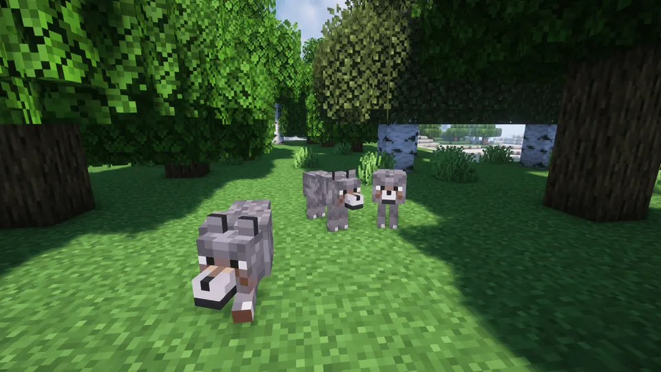 Cozy's Improved Wolves — Minecraft mod, rasm 3