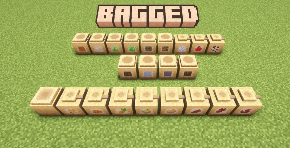 Bagged — Minecraft mod, rasm 3