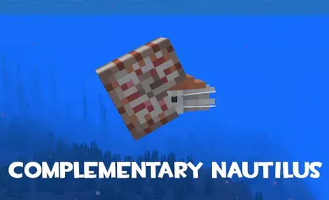 Complementary Nautilus