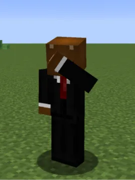 Animotion | Emotes — Minecraft mod, rasm 6
