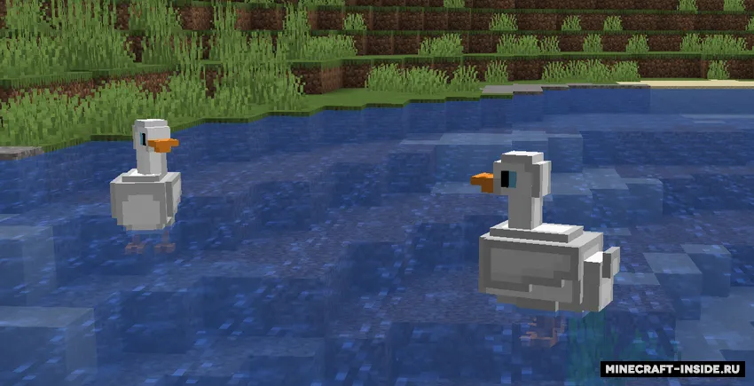 BetterMobs (Ducks) — Minecraft mod, rasm 2