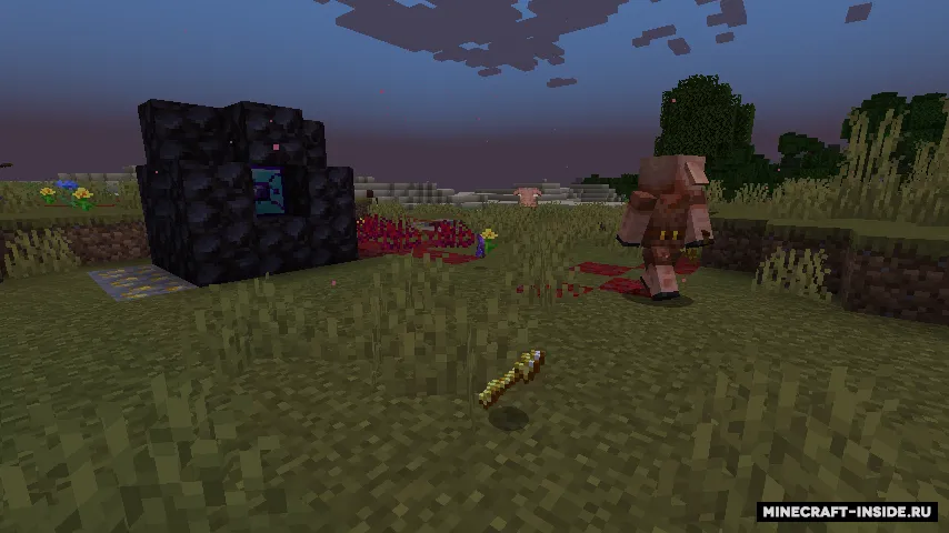 Nether Invader — Minecraft mod, rasm 3