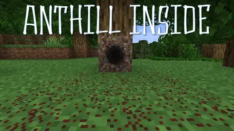Anthill Inside