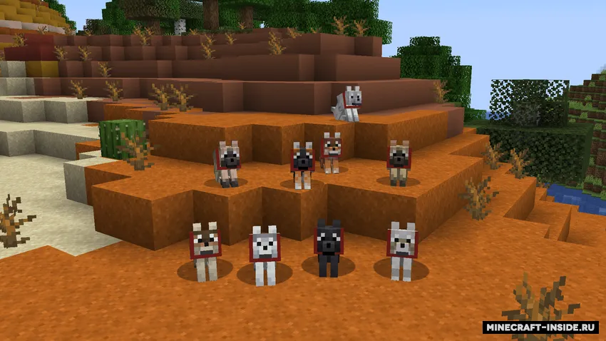 Backported Wolves — Minecraft mod, rasm 2