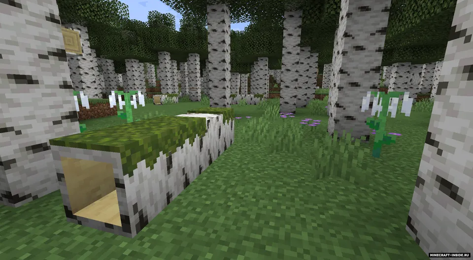 Missing Wilds — Minecraft mod, rasm 3