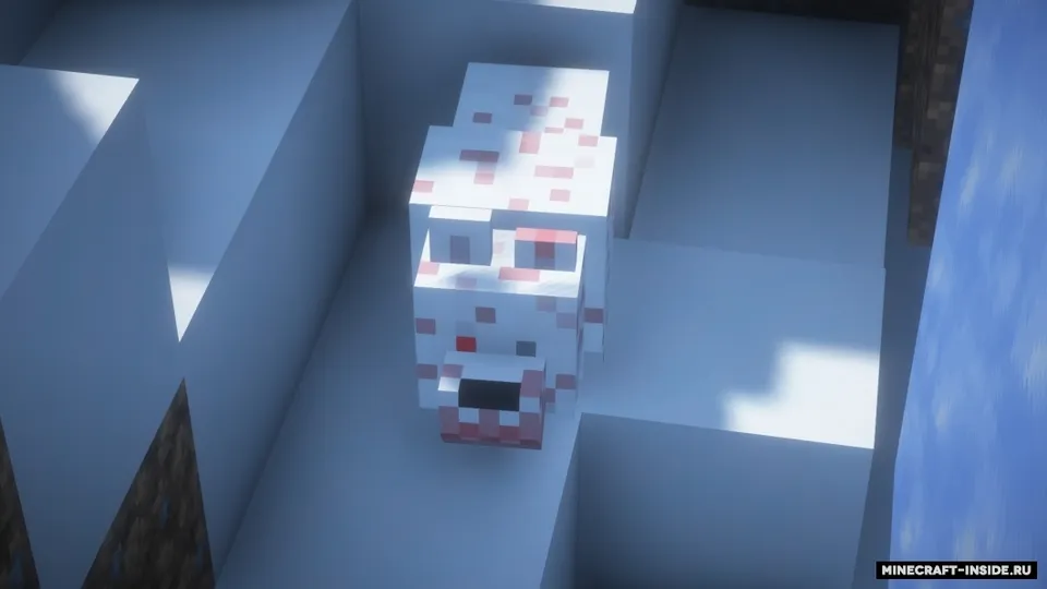 Winter Update — Minecraft mod, rasm 8