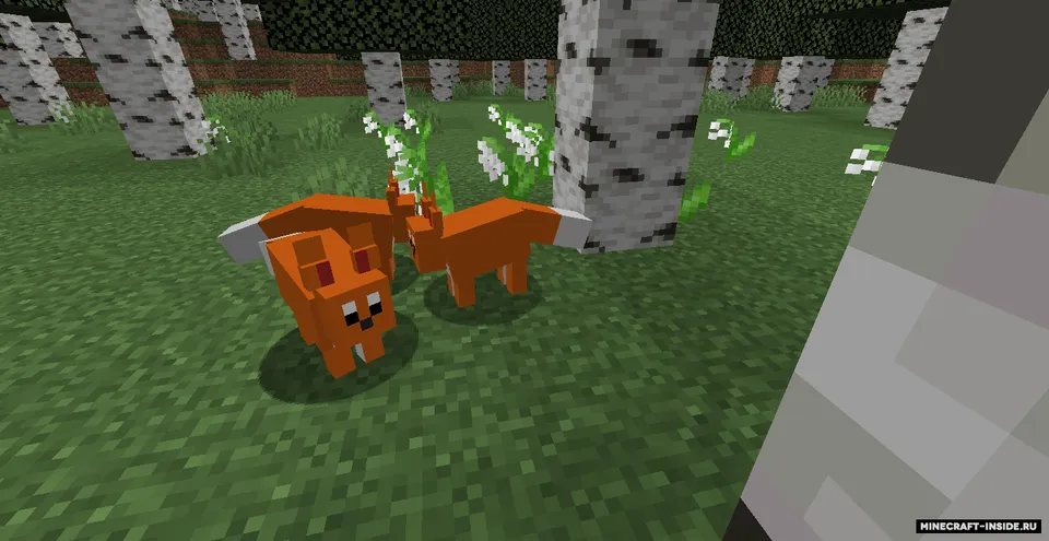 Pseudorygium — Minecraft mod, rasm 4