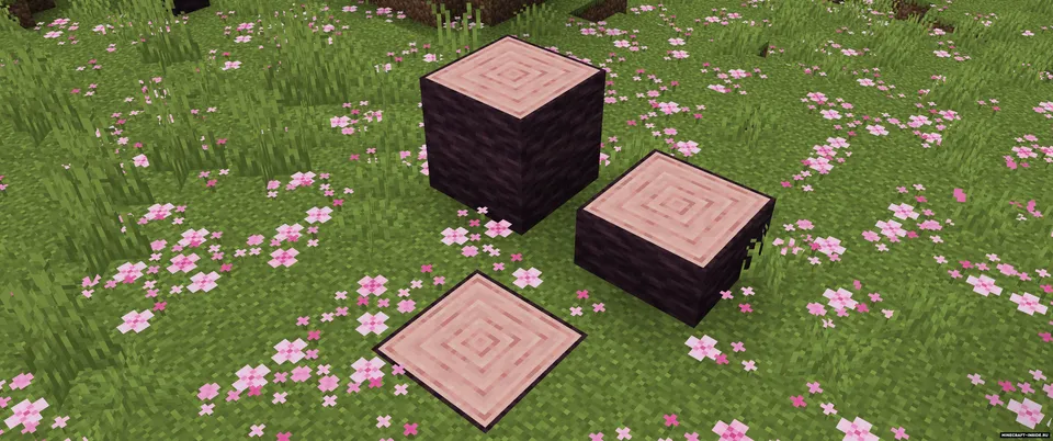 Pillarger — Minecraft mod, rasm 6