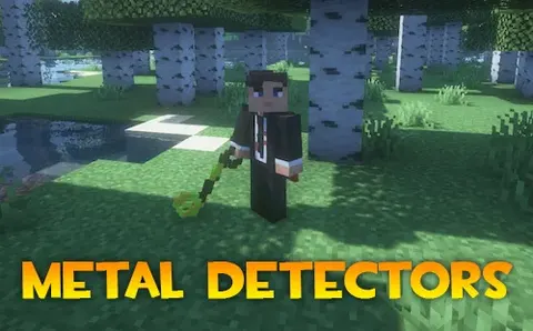Metal Detectors