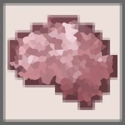 Neurocraft: Visions & Voices