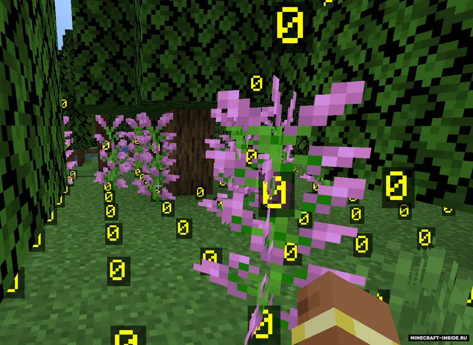 Light Level Overlay Display — Minecraft mod, rasm 5
