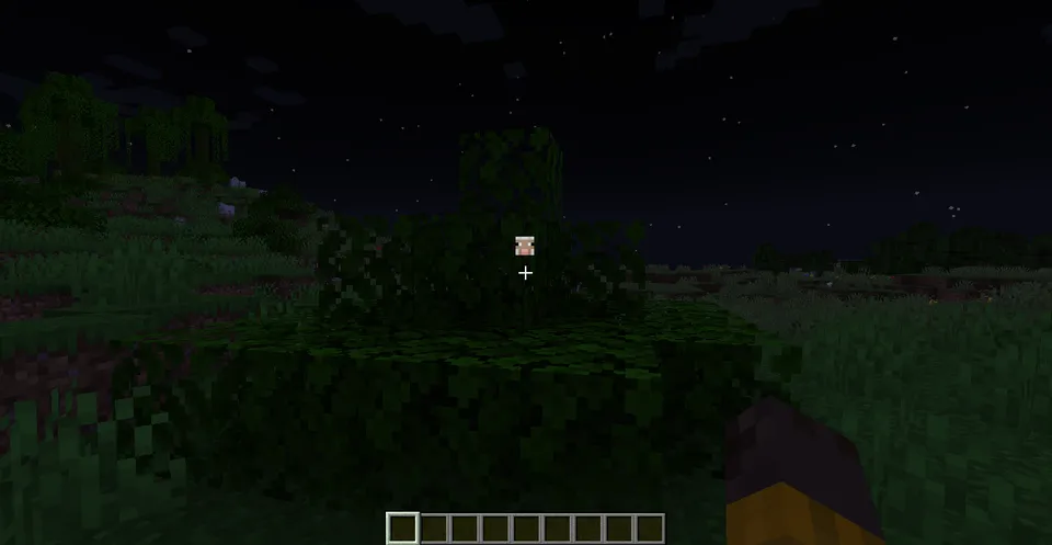 Visual Sound — Minecraft mod, rasm 3