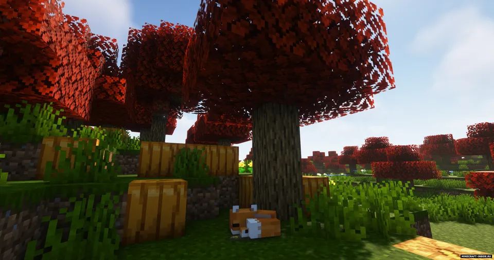 Decent Biomes — Minecraft mod, rasm 3