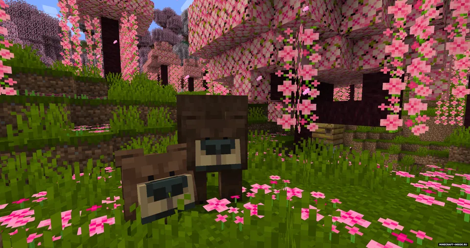 Decent Biomes — Minecraft mod, rasm 5