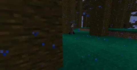 The lost cave
