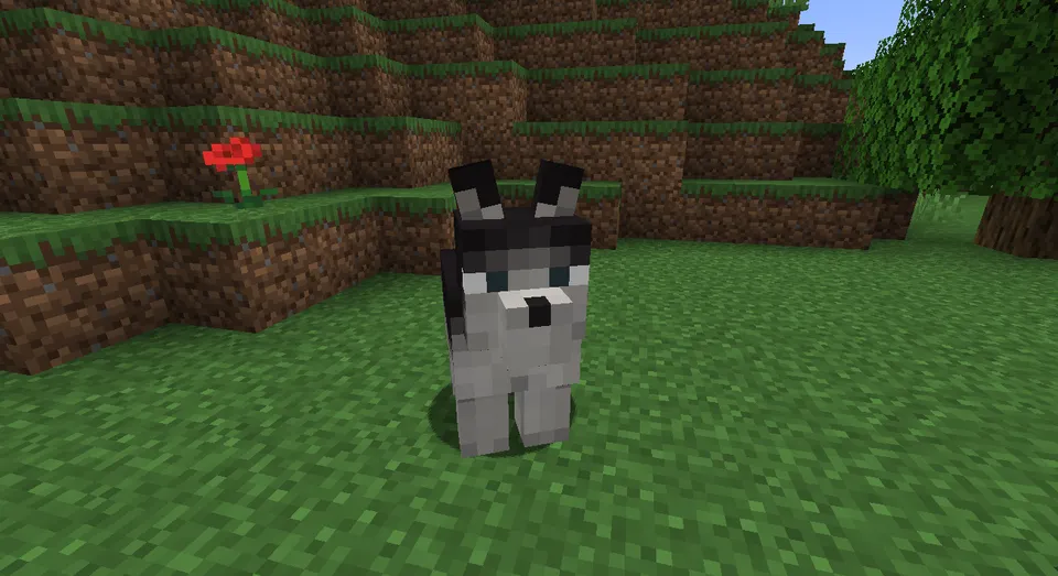 Polly's Pets — Minecraft mod, rasm 3