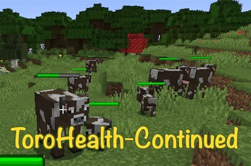 ToroHealth-Continued — Minecraft mod, rasm 1
