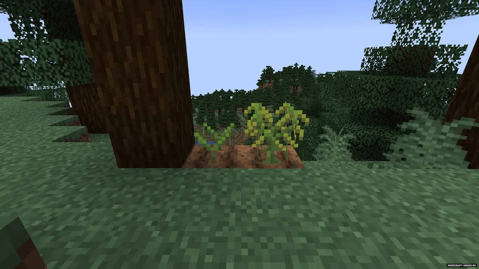 Vegan Delight — Minecraft mod, rasm 2