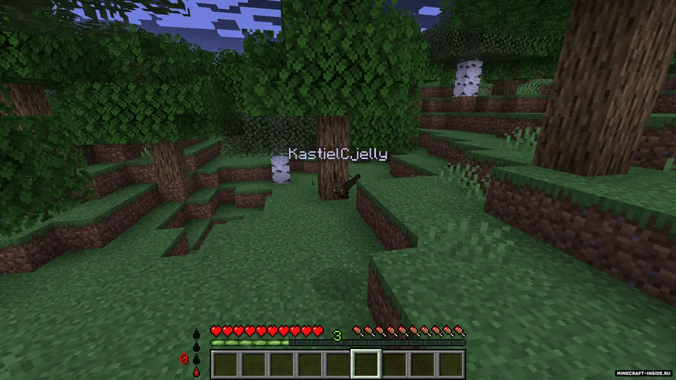 Modern Vampirism — Minecraft mod, rasm 2