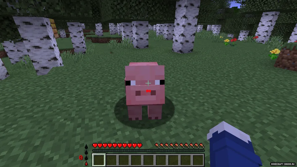 Modern Vampirism — Minecraft mod, rasm 4