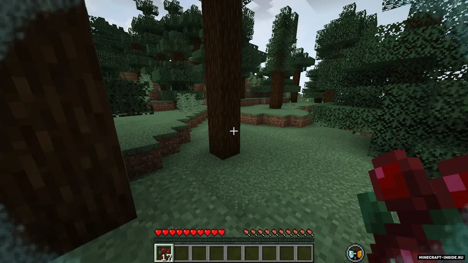 key's Wild Temperatures — Minecraft mod, rasm 3