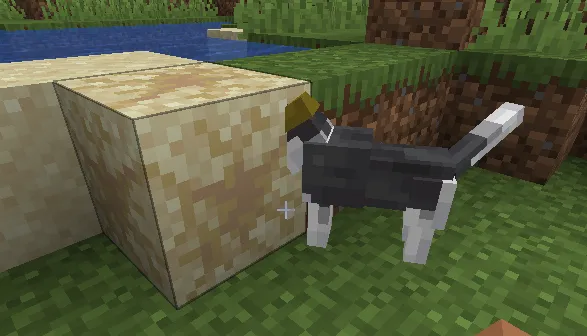 Pet Shop — Minecraft mod, rasm 2