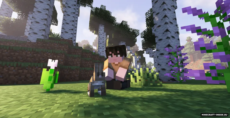 Sit & Chill — Minecraft mod, rasm 4