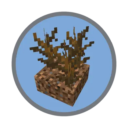 End of Minecraft