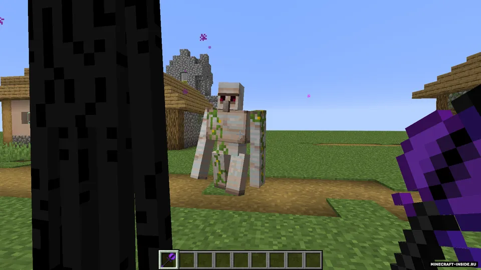 Summoner Class — Minecraft mod, rasm 3