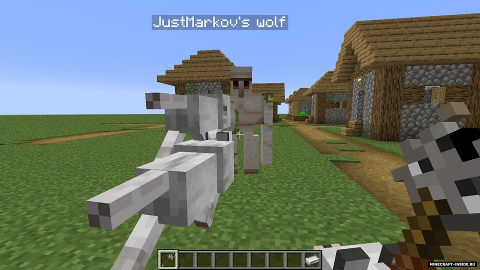 Summoner Class — Minecraft mod, rasm 6